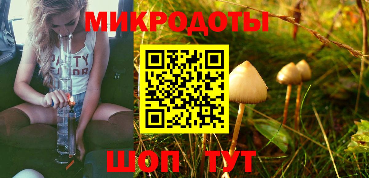 Кинель  Галлюциногенные грибы GOLDEN TEACHER  Вход с VPN 